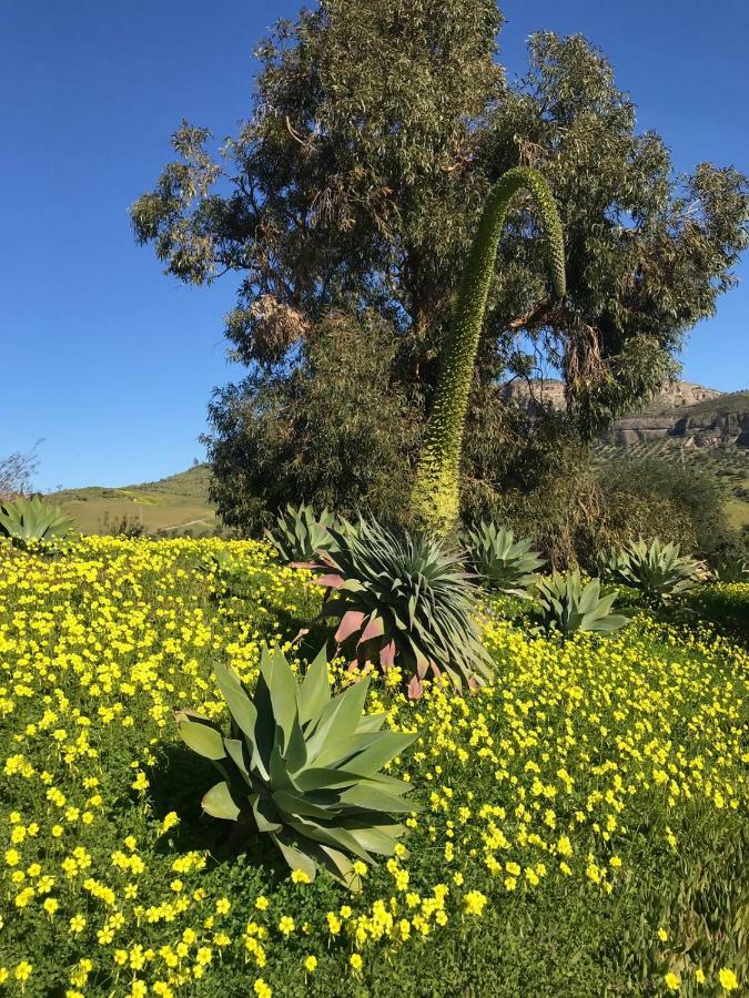 Casa Grande / Rosas Cantares Pizarra Kültér fotó
